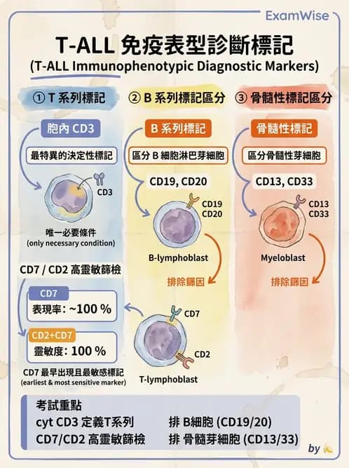 醫檢師 - 急性白血病 - AI 圖文解析預覽