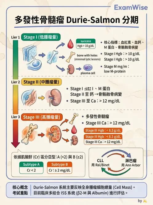 醫檢師 - 淋巴瘤、漿細胞疾病與白血球異常 - AI 圖文解析預覽