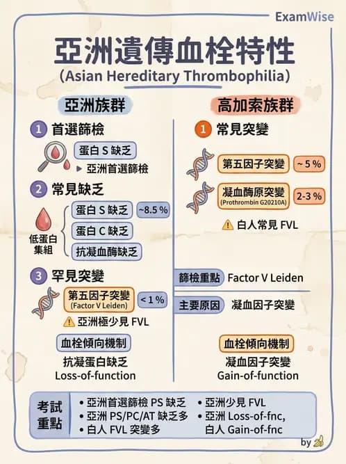 醫檢師 - 血栓性疾病與抗凝治療監測 - AI 圖文解析預覽