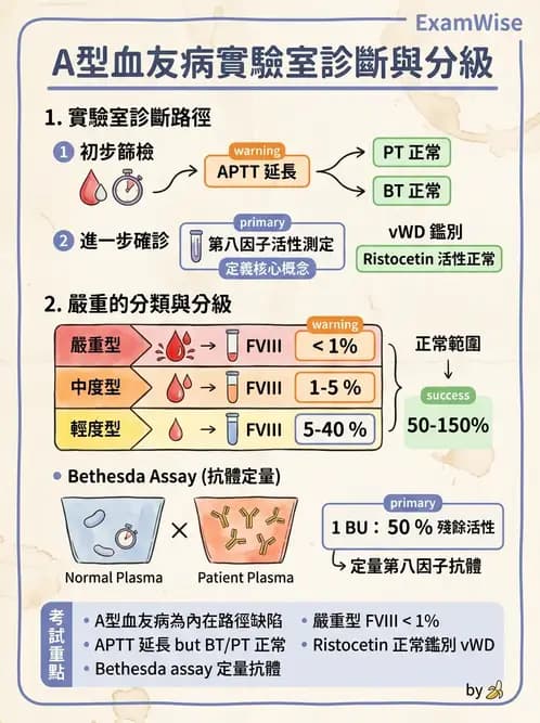 醫檢師 - 出血性疾病與檢驗 - AI 圖文解析預覽