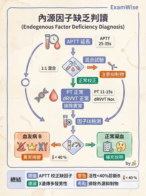 醫檢師 - 出血性疾病與檢驗 - AI 圖文解析預覽