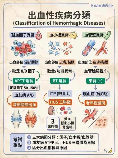 醫檢師 - 出血性疾病與檢驗 - AI 圖文解析預覽