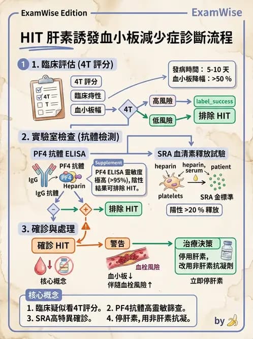醫檢師 - 血栓性疾病與抗凝治療監測 - AI 圖文解析預覽