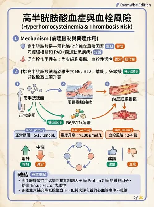 醫檢師 - 血栓性疾病與抗凝治療監測 - AI 圖文解析預覽