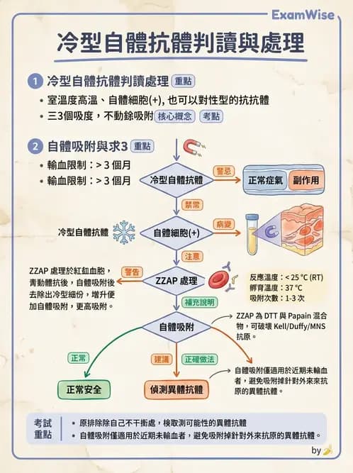 醫檢師 - 血液成分製備與輸血檢查 - AI 圖文解析預覽