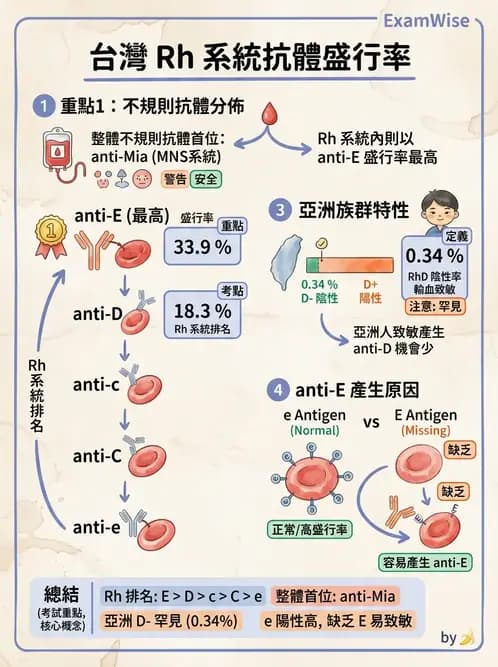 醫檢師 - 紅血球抗原與血型系統 - AI 圖文解析預覽