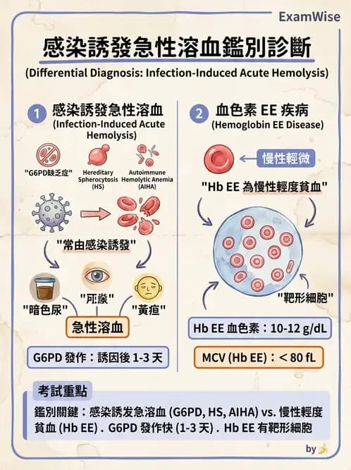 醫檢師 - 溶血性貧血與血色素病變 - AI 圖文解析預覽
