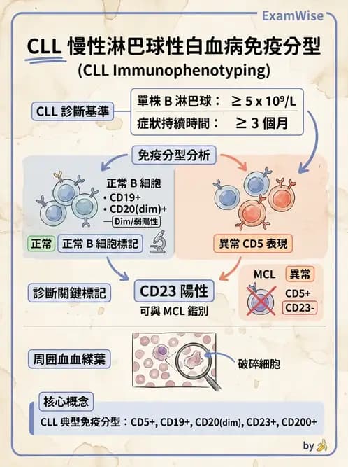 醫檢師 - 慢性血液腫瘤與骨髓增生疾患 - AI 圖文解析預覽