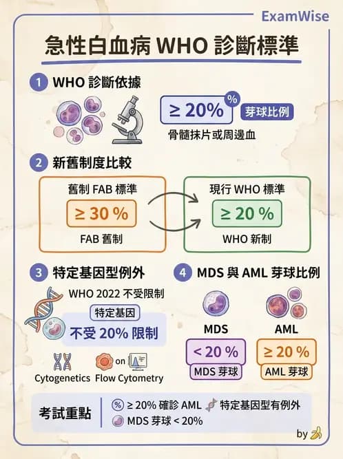 醫檢師 - 急性白血病 - AI 圖文解析預覽