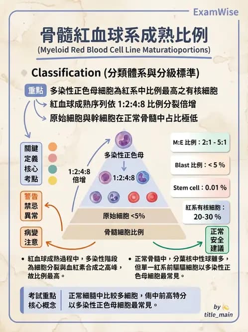 醫檢師 - 白血球生理與形態 - AI 圖文解析預覽