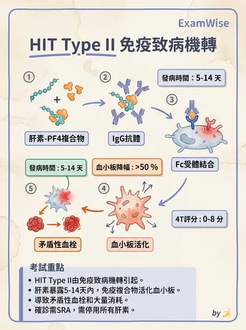 醫檢師 - 血栓性疾病與抗凝治療監測 - AI 圖文解析預覽
