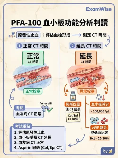 醫檢師 - 血小板與止血生理 - AI 圖文解析預覽