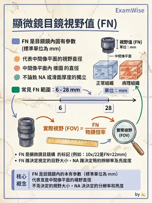 醫檢師 - 顯微鏡原理與操作 - AI 圖文解析預覽