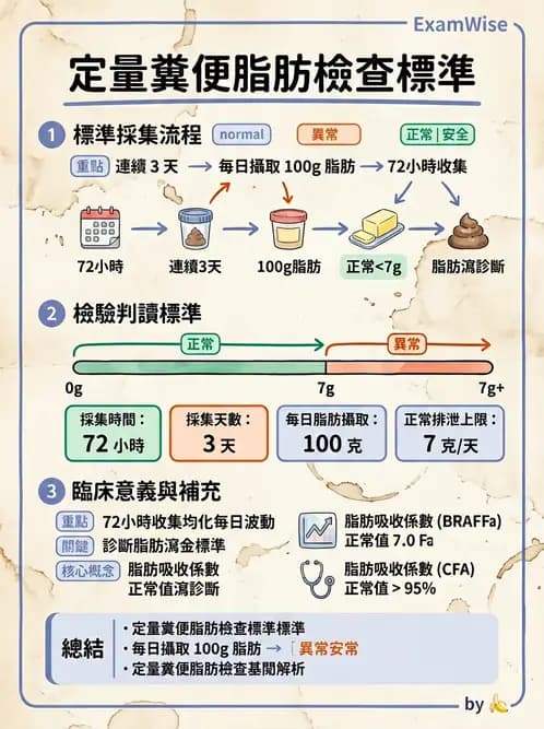 醫檢師 - 糞便常規檢查 - AI 圖文解析預覽