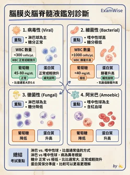 醫檢師 - 腦脊髓液檢查 - AI 圖文解析預覽