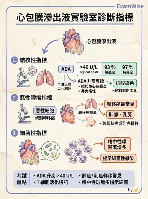 醫檢師 - 穿刺液檢查 - AI 圖文解析預覽