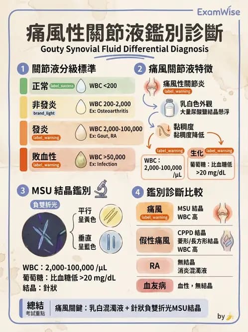 醫檢師 - 滑膜液檢查 - AI 圖文解析預覽