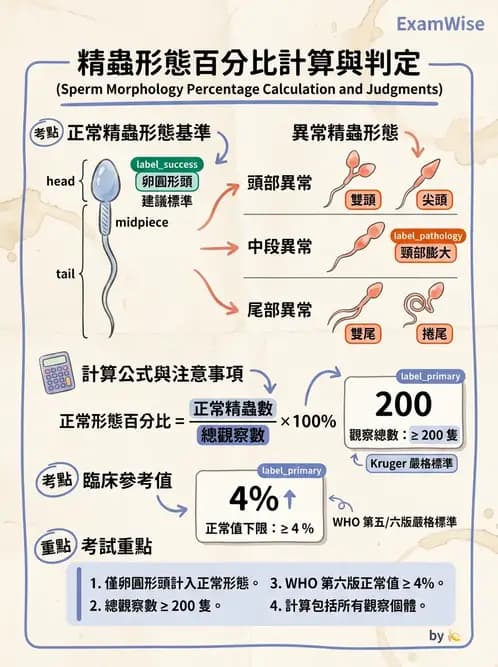醫檢師 - 精液檢查 - AI 圖文解析預覽