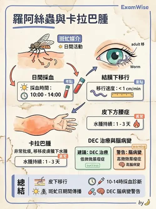 醫檢師 - 寄生蟲檢查-蠕蟲類 - AI 圖文解析預覽