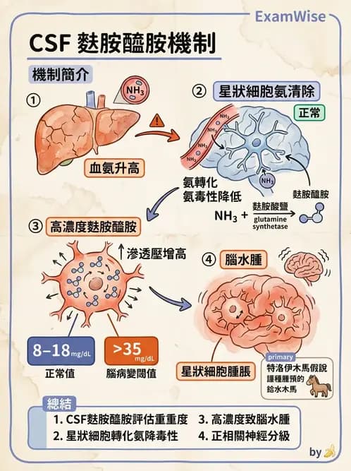 醫檢師 - 腦脊髓液檢查 - AI 圖文解析預覽
