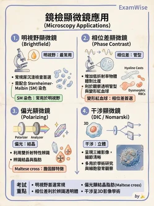 醫檢師 - 尿沉渣鏡檢與物理檢查 - AI 圖文解析預覽