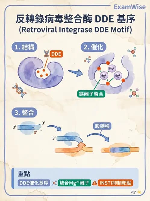 醫檢師 - 基礎分子生物學 - AI 圖文解析預覽
