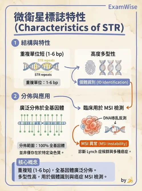 醫檢師 - 分子鑑定與應用技術 - AI 圖文解析預覽