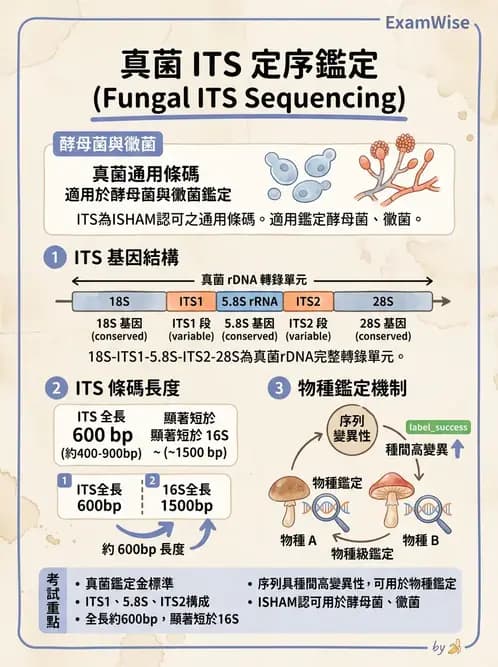 醫檢師 - 分子鑑定與應用技術 - AI 圖文解析預覽