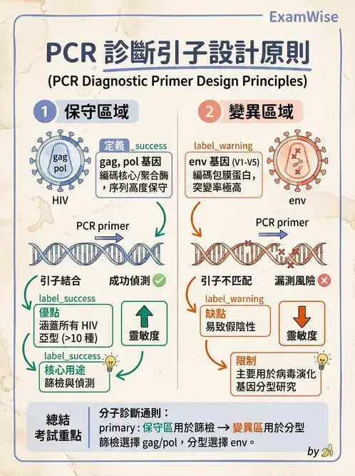 醫檢師 - 感染症分子檢驗 - AI 圖文解析預覽
