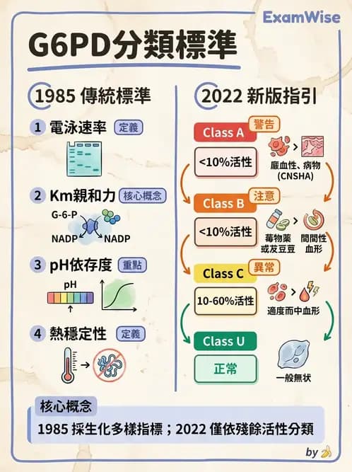 醫檢師 - 遺傳疾病基因檢測 - AI 圖文解析預覽