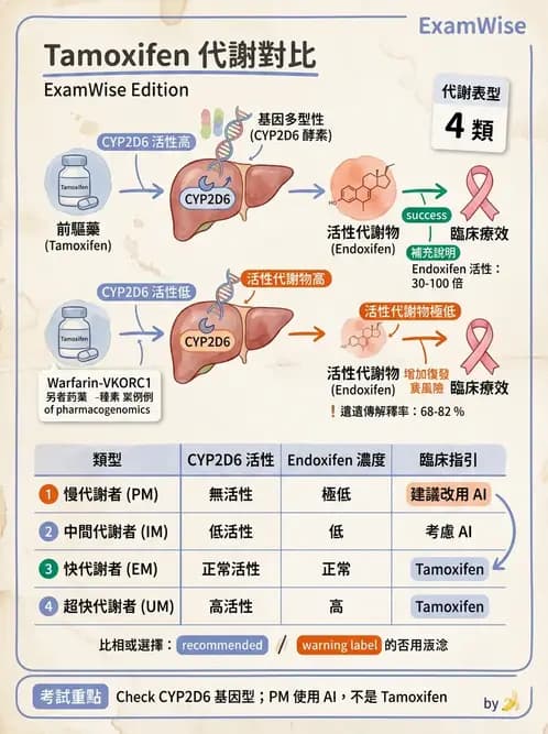 醫檢師 - 藥物相關基因檢測 - AI 圖文解析預覽