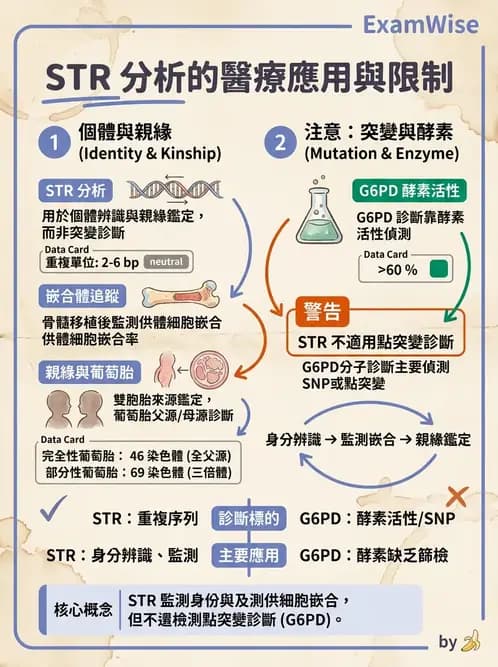 醫檢師 - 分子鑑定與應用技術 - AI 圖文解析預覽