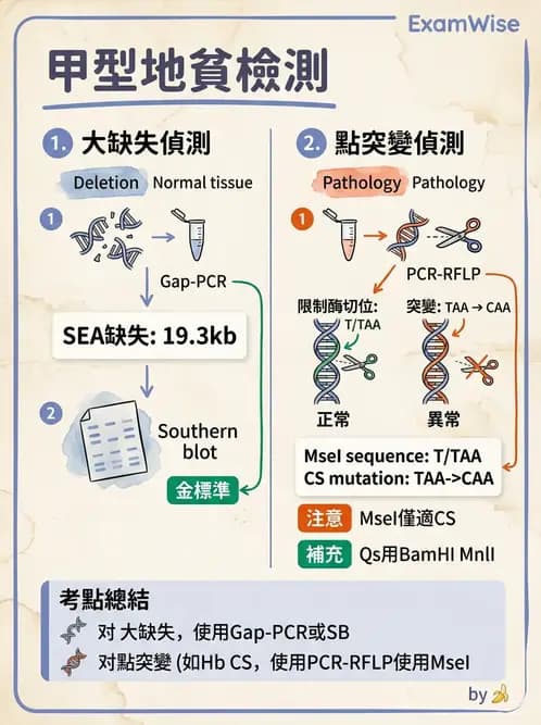 醫檢師 - 遺傳疾病基因檢測 - AI 圖文解析預覽