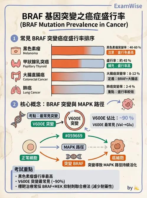 醫檢師 - 腫瘤疾病基因檢測 - AI 圖文解析預覽