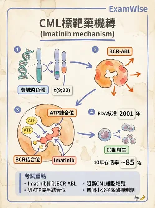 醫檢師 - 藥物相關基因檢測 - AI 圖文解析預覽