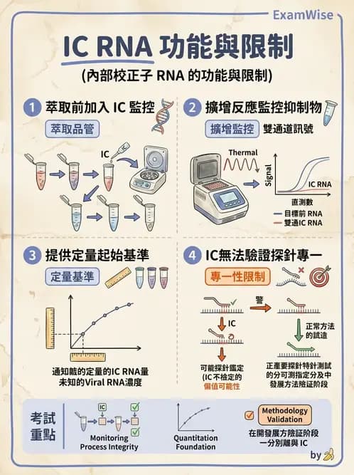 醫檢師 - 感染症分子檢驗 - AI 圖文解析預覽