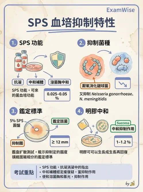 醫檢師 - 檢驗基礎技術 - AI 圖文解析預覽