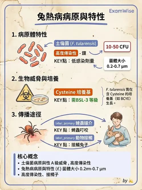 醫檢師 - 奈瑟菌與挑剔性革蘭氏陰性菌 - AI 圖文解析預覽