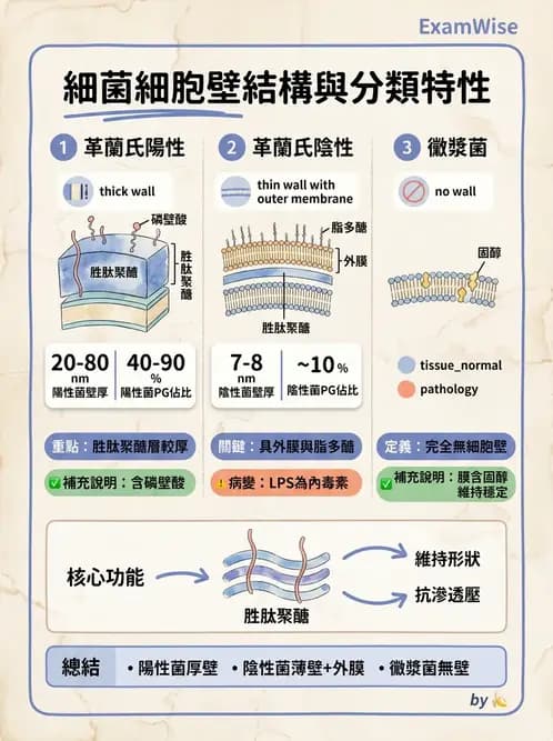 醫檢師 - 實驗室安全與微生物特性 - AI 圖文解析預覽