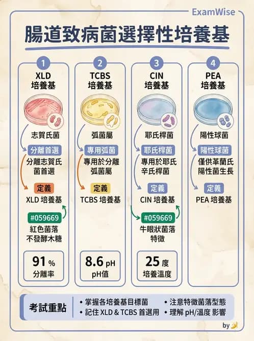 醫檢師 - 腸內菌鑑別方法與培養基 - AI 圖文解析預覽