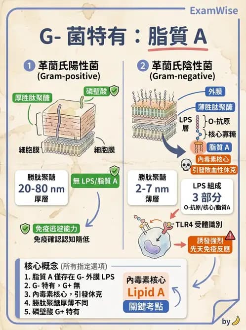 醫檢師 - 實驗室安全與微生物特性 - AI 圖文解析預覽
