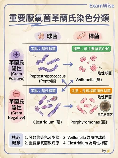 醫檢師 - 厭氧菌 - AI 圖文解析預覽