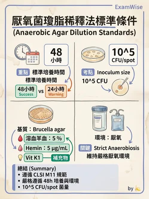 醫檢師 - 藥敏試驗方法 - AI 圖文解析預覽