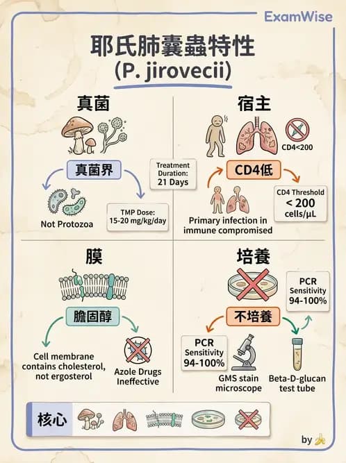醫檢師 - 系統性與機會性真菌感染 - AI 圖文解析預覽