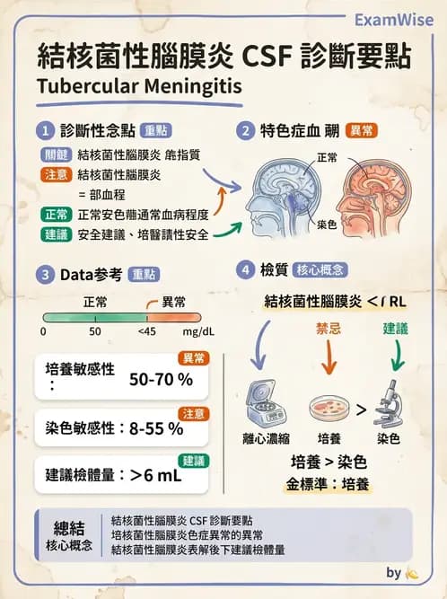 醫檢師 - 分枝桿菌 - AI 圖文解析預覽
