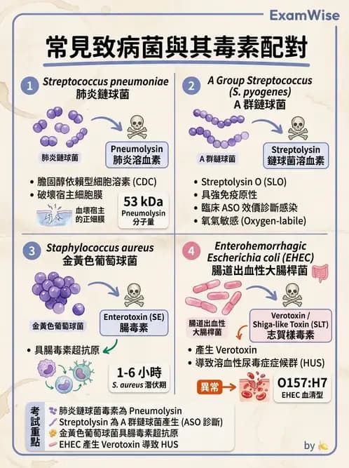 醫檢師 - 綜合性試題 - AI 圖文解析預覽