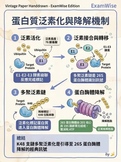 醫檢師 - 基本概念與儀器分析 - AI 圖文解析預覽