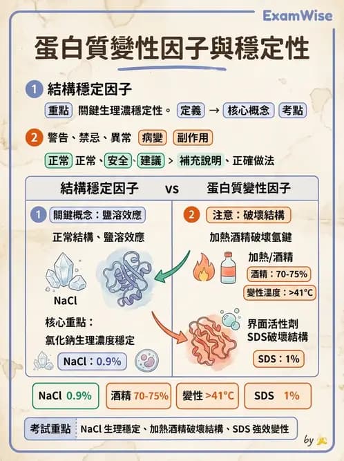 醫檢師 - 血清蛋白與蛋白質檢測 - AI 圖文解析預覽