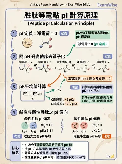 醫檢師 - 胺基酸代謝與先天性疾病 - AI 圖文解析預覽