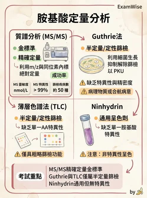 醫檢師 - 胺基酸代謝與先天性疾病 - AI 圖文解析預覽